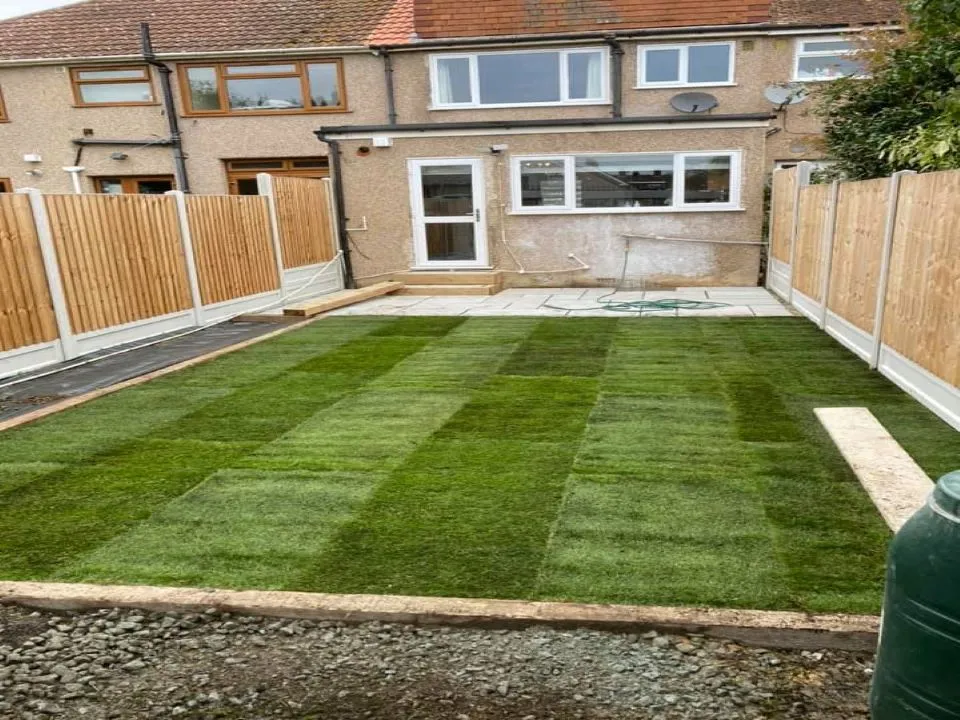 medium sized lawn with high quality new turf.